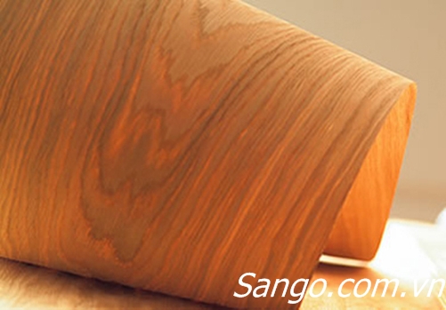 sàn gỗ công nghiệp gỗ Veneer