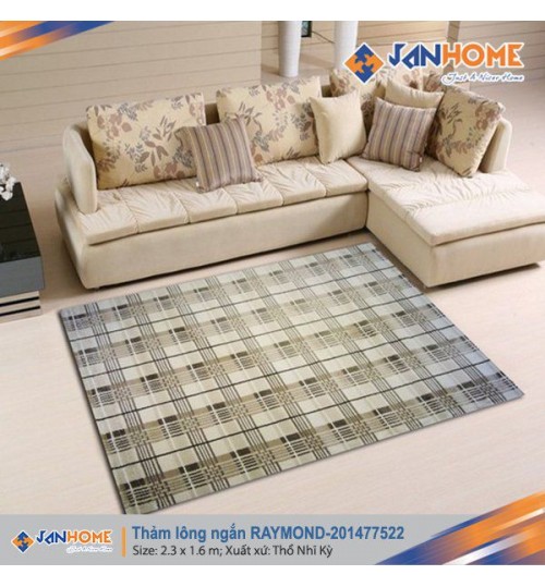 Thảm Thổ Nhĩ Kỳ lông ngắn RAYMOND 201477522