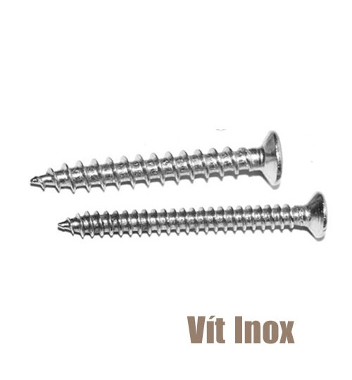 Phụ kiện sàn gỗ ngoài trời - Vít Inox